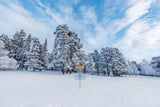 Discmania DiscGolfPark Pro Target